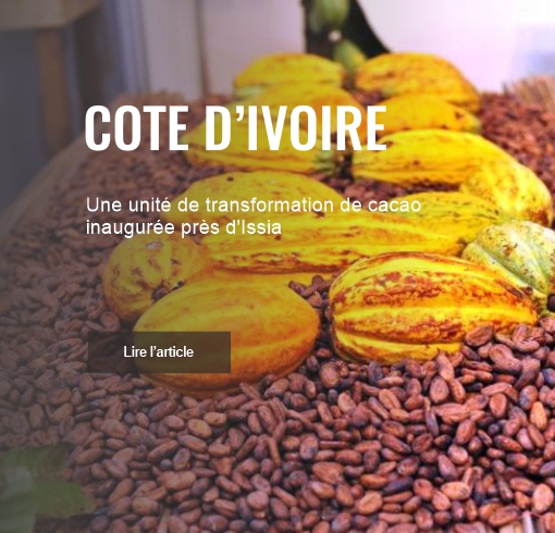 Une unité de transformation de cacao inaugurée près d’Issia