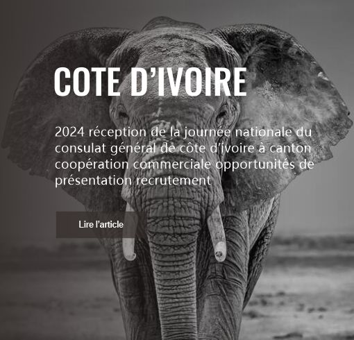 2024 réception de la journée nationale du consulat général de côte d’ivoire à canton coopération commerciale opportunités de présentation recrutement 