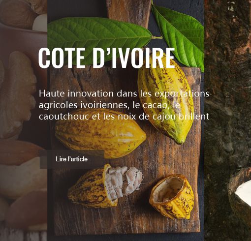 Haute innovation dans les exportations agricoles ivoiriennes, le cacao, le caoutchouc et les noix de cajou brillent